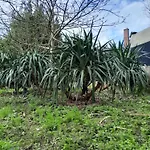 Apartmán Des Arts- Cinema Dans Le Perche Rémalard