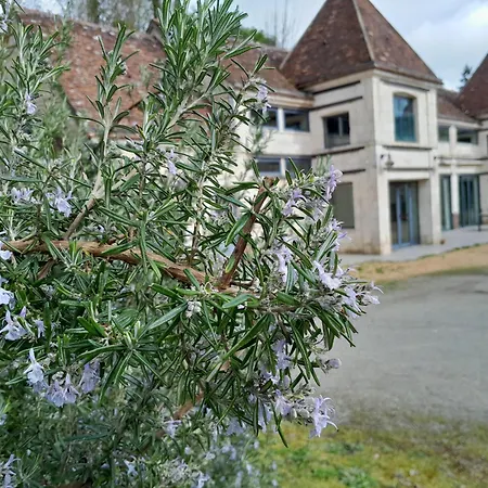 Des Arts- Cinema Dans Le Perche Rémalard