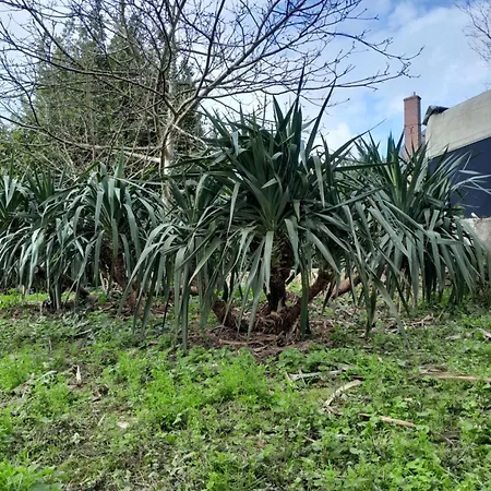 Daire Cinema Dans Le Perche Rémalard