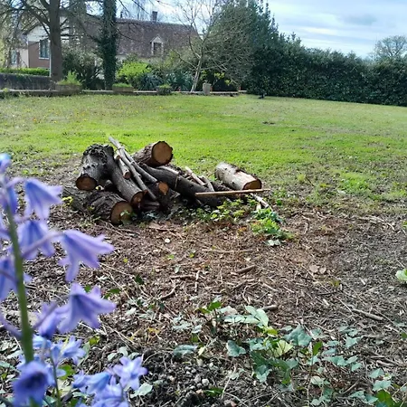 Cinema Dans Le Perche Daire
