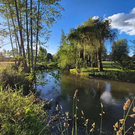 Cinema Dans Le Perche Daire