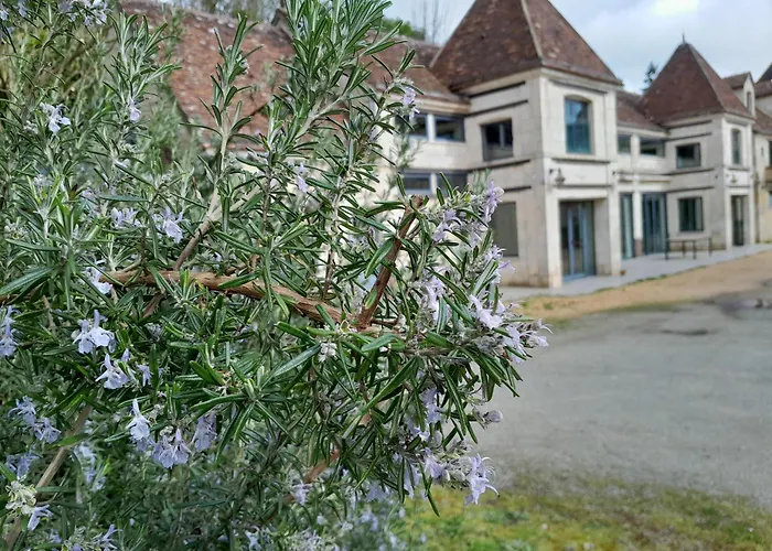 Des Arts- Cinema Dans Le Perche Rémalard