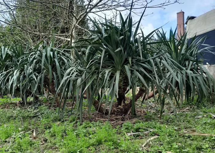 Apartman Des Arts- Cinema Dans Le Perche Rémalard