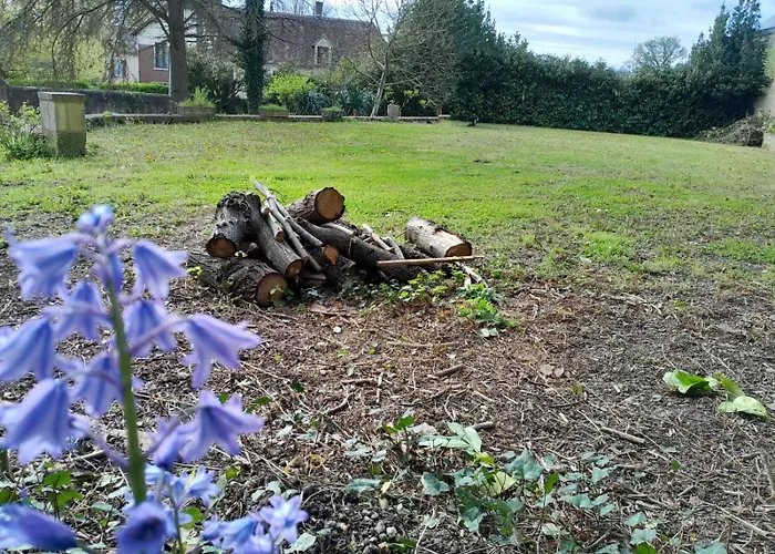 Des Arts- Cinema Dans Le Perche شقة