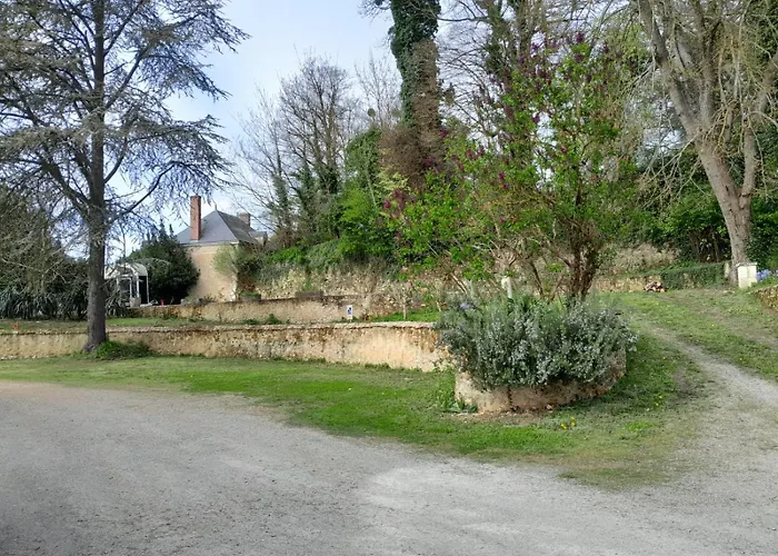 Des Arts- Cinema Dans Le Perche