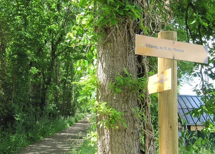 Des Arts- Cinema Dans Le Perche *