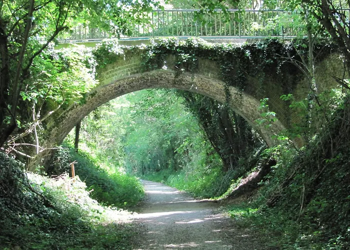 Des Arts- Cinema Dans Le Perche Rémalard