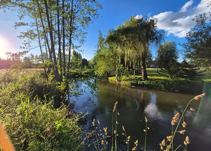 Des Arts- Cinema Dans Le Perche شقة